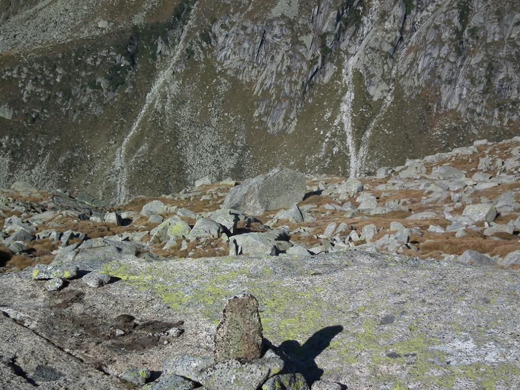 Itinerari per tutti (o quasi): cima Lesena (m.2855)